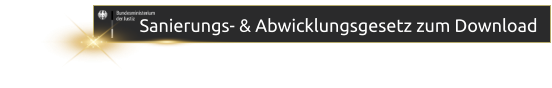 Sanierungs- & Abwicklungsgesetz zum Download